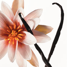 Load image into Gallery viewer, KYLIE VANILLA DEW HAIR AND BODY MIST 236ML