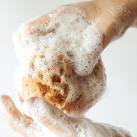 ALMA K SOAP INFUSED BATH SPONGE - Beauty Bar