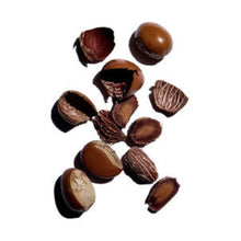 Load image into Gallery viewer, CLARINS MOISTURE RICH BODY LOTION 200ML - Beauty Bar