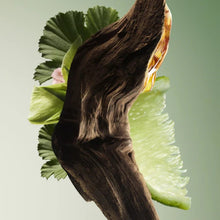 Load image into Gallery viewer, PRADA PARADIGME EDP AVAILABLE IN 2 SIZES - Beauty Bar