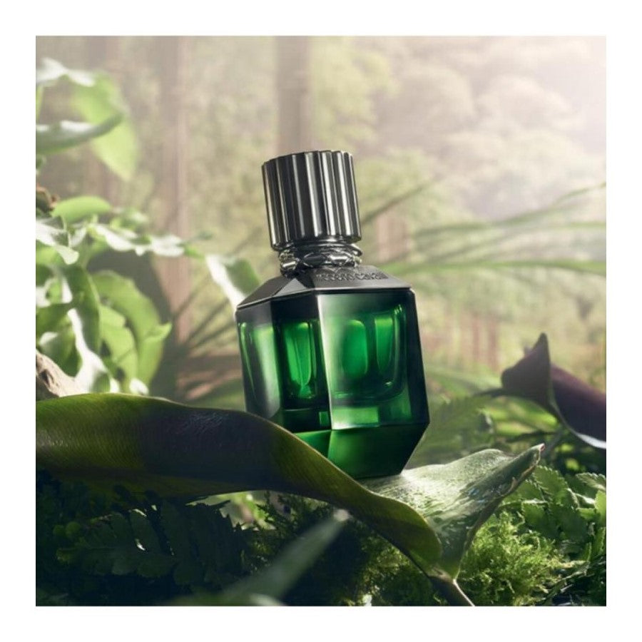 ROBERTO CAVALLI PARADISE FOUND MALE EDP - AVAILABLE IN 2 SIZES - Beauty Bar Cyprus